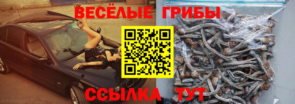 Юрга  Псилоцибиновые грибы Cubensis  Псилоцибиновые грибы Psilocybine cubensis  Вход с VPN 